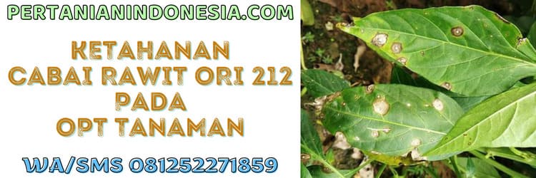 opt,tanaman,hama,penyakit,virus,jamur,bakteri